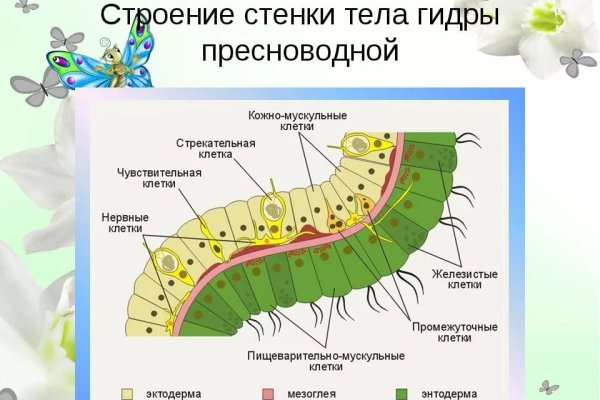 Почему не работает кракен сегодня