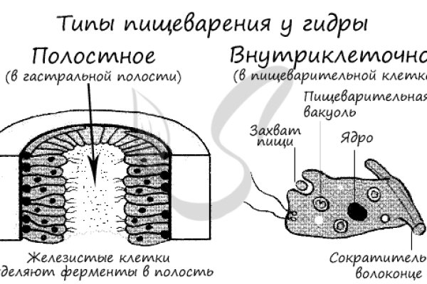 Kra34.at