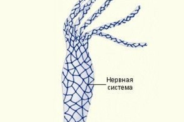 Как подключиться к даркнету