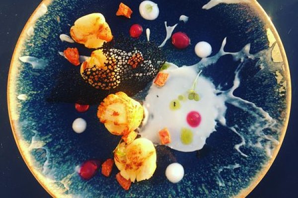 Mega darknet ссылка