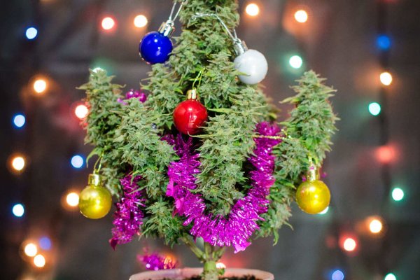 Ссылка на кракен 11